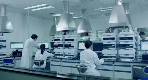 當(dāng)醫(yī)藥巨頭跨界營(yíng)養(yǎng)品 三十年經(jīng)驗(yàn)如何重塑熱能產(chǎn)品研發(fā)新范式